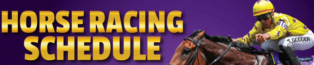 Hollywoodbets Horse Racing